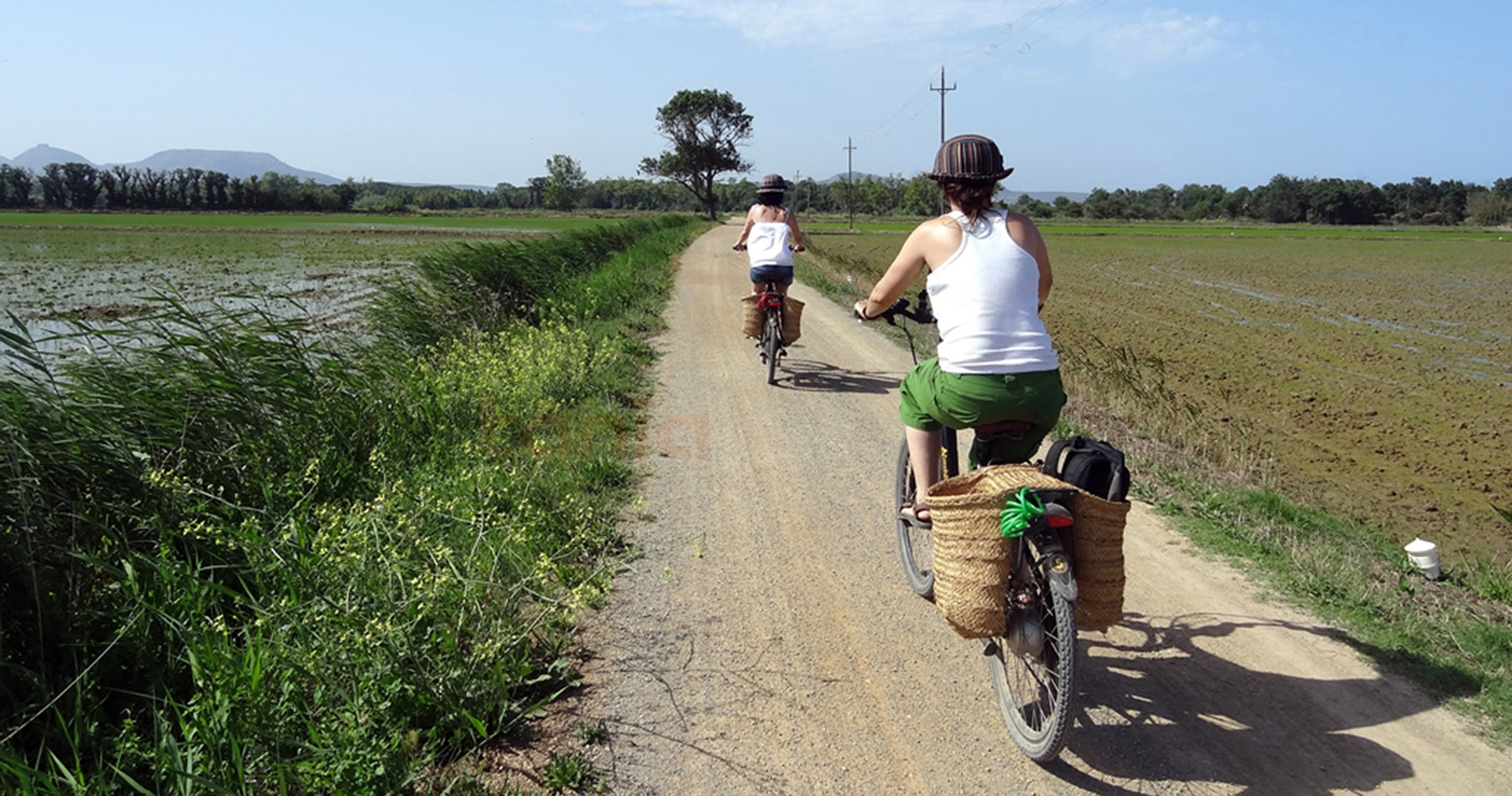 Rutas